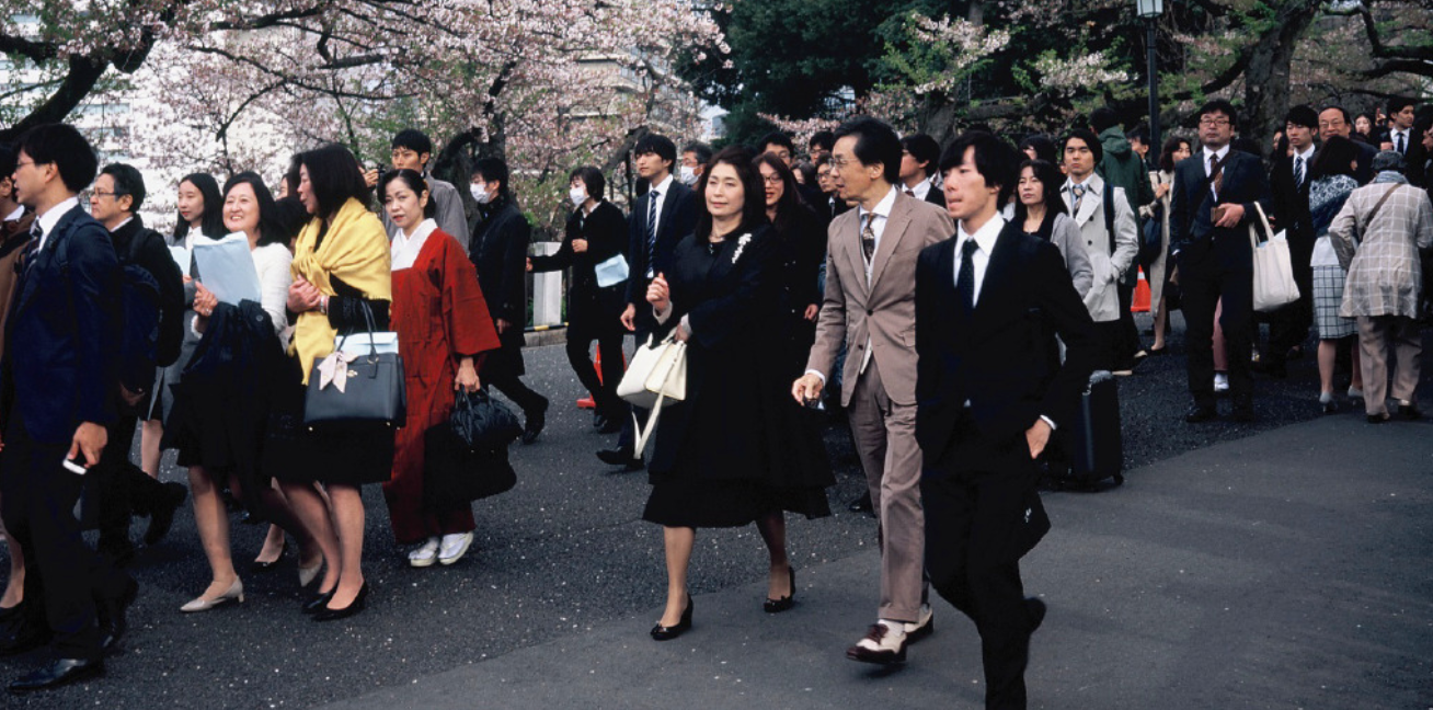 Photography of Japanese people, cherry blossoms, in the heart of the city.
