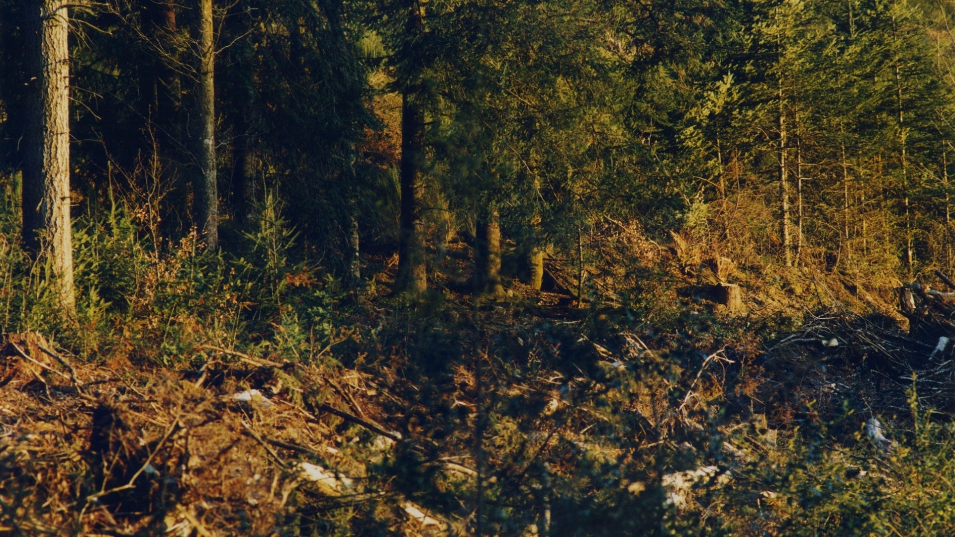 Alexandre Guirkinger In conversation with the artist Fabien Giraud