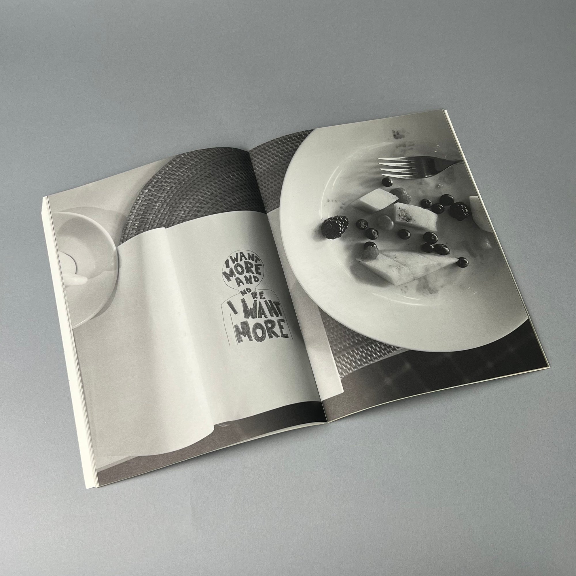 Purple Book Issue 17